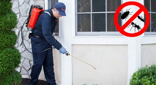 Ekinözü Akrep İlaçlama böcek ilaçlama ve haşere kontrolü — ilaclama-tr.com
